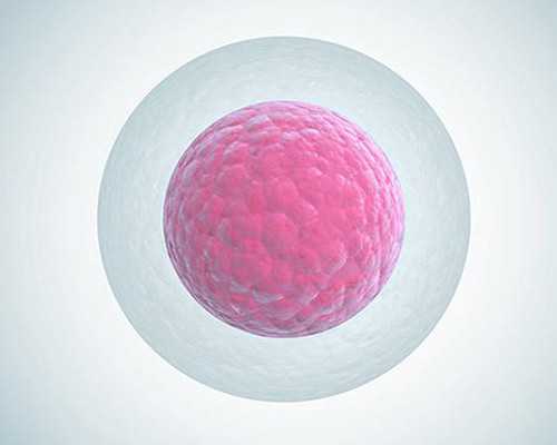 广州金贝供卵试管[供卵不告诉家人],美国试管婴儿专家解析：保存生育能力的复